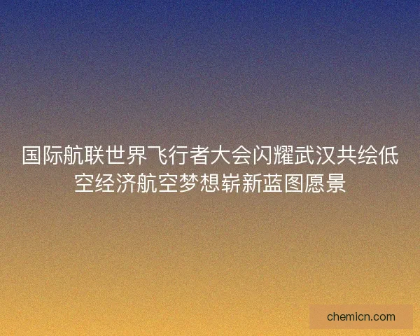 国际航联世界飞行者大会闪耀武汉共绘低空经济航空梦想崭新蓝图愿景