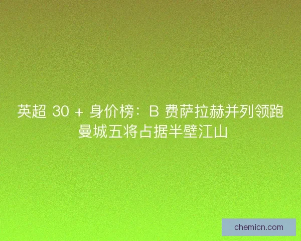 英超 30 + 身价榜：B 费萨拉赫并列领跑 曼城五将占据半壁江山