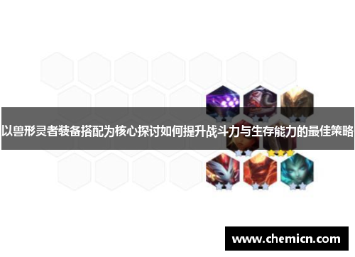 以兽形灵者装备搭配为核心探讨如何提升战斗力与生存能力的最佳策略