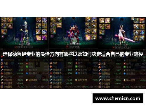 选择德鲁伊专业的最佳方向有哪些以及如何决定适合自己的专业路径