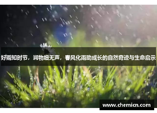 好雨知时节,润物细无声,春风化雨助成长的自然奇迹与生命启示